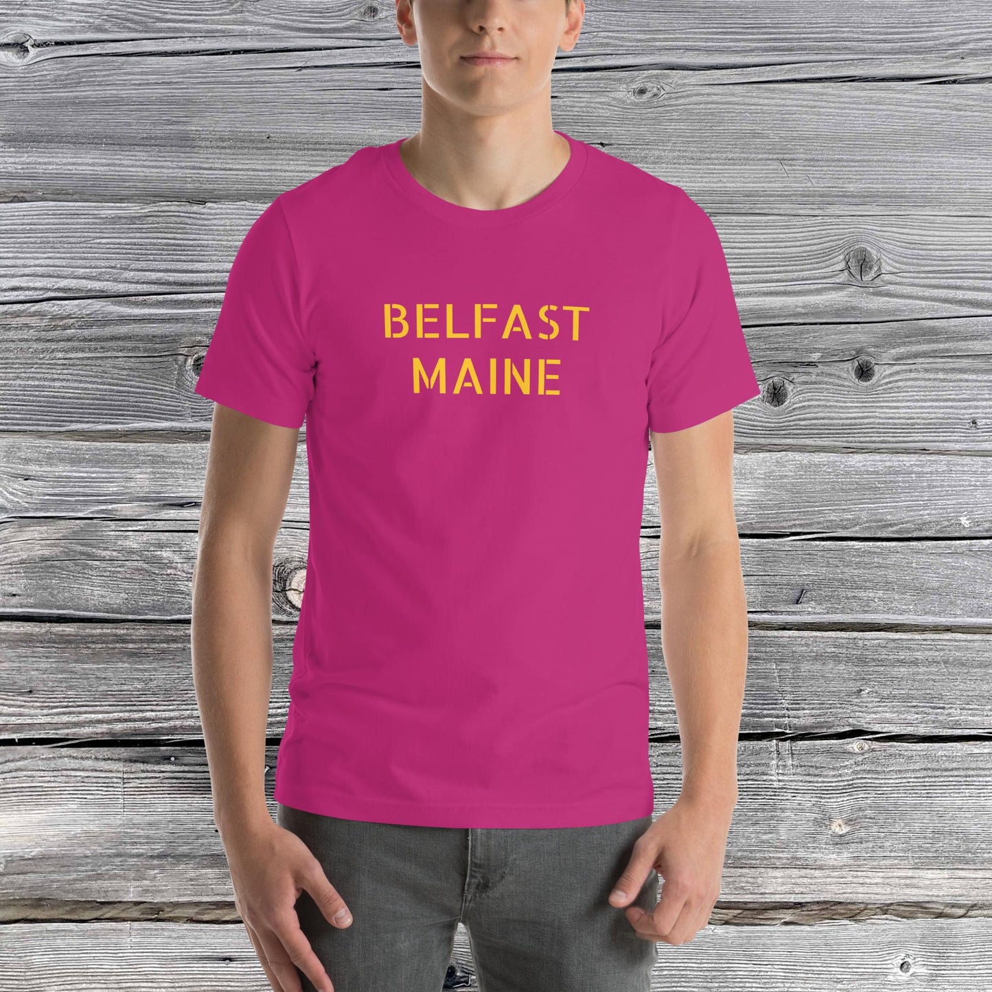 Belfast, Maine, t-shirt