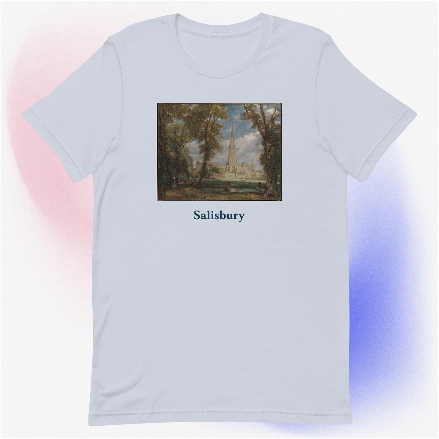 Salisbury unisex t-shirt