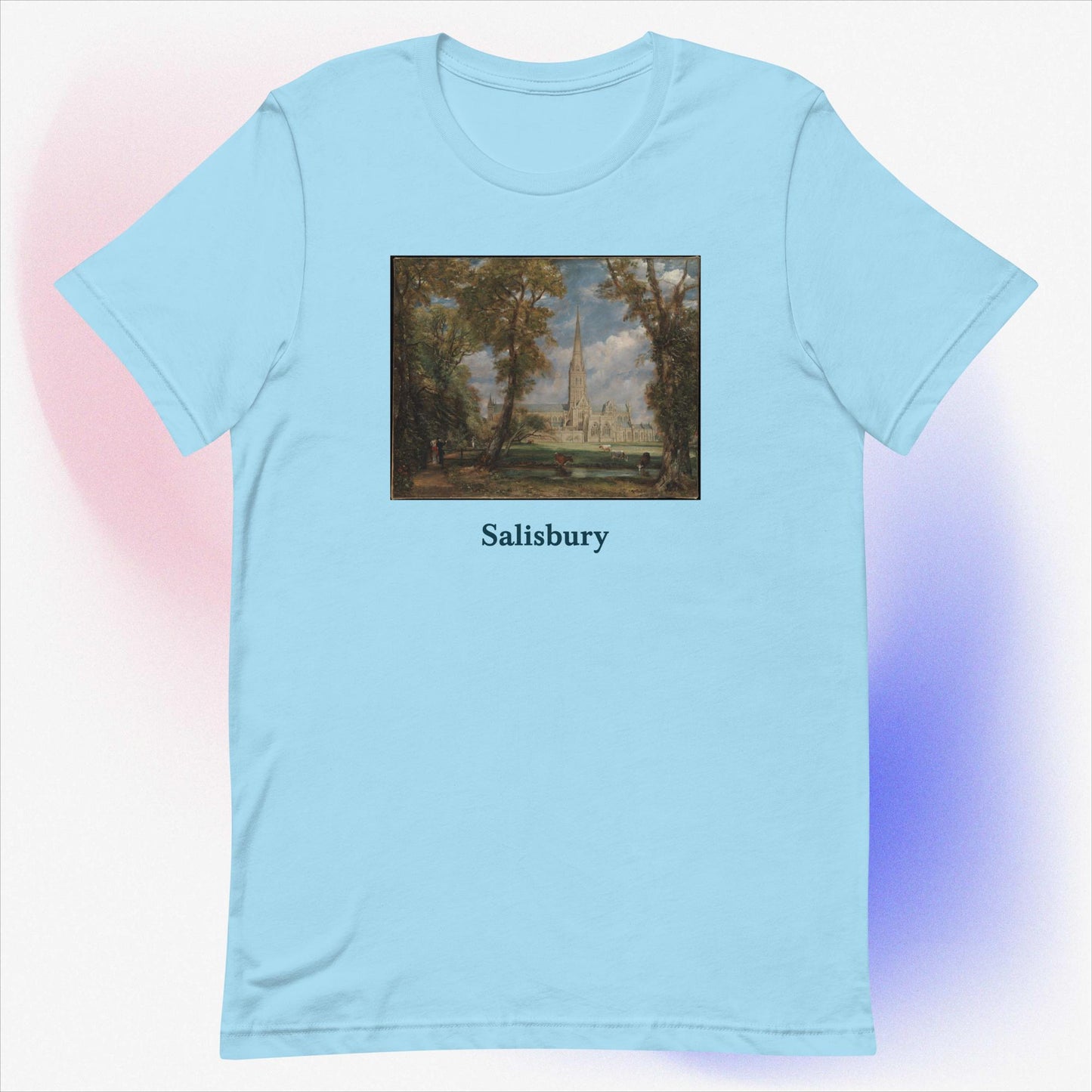 Salisbury unisex t-shirt
