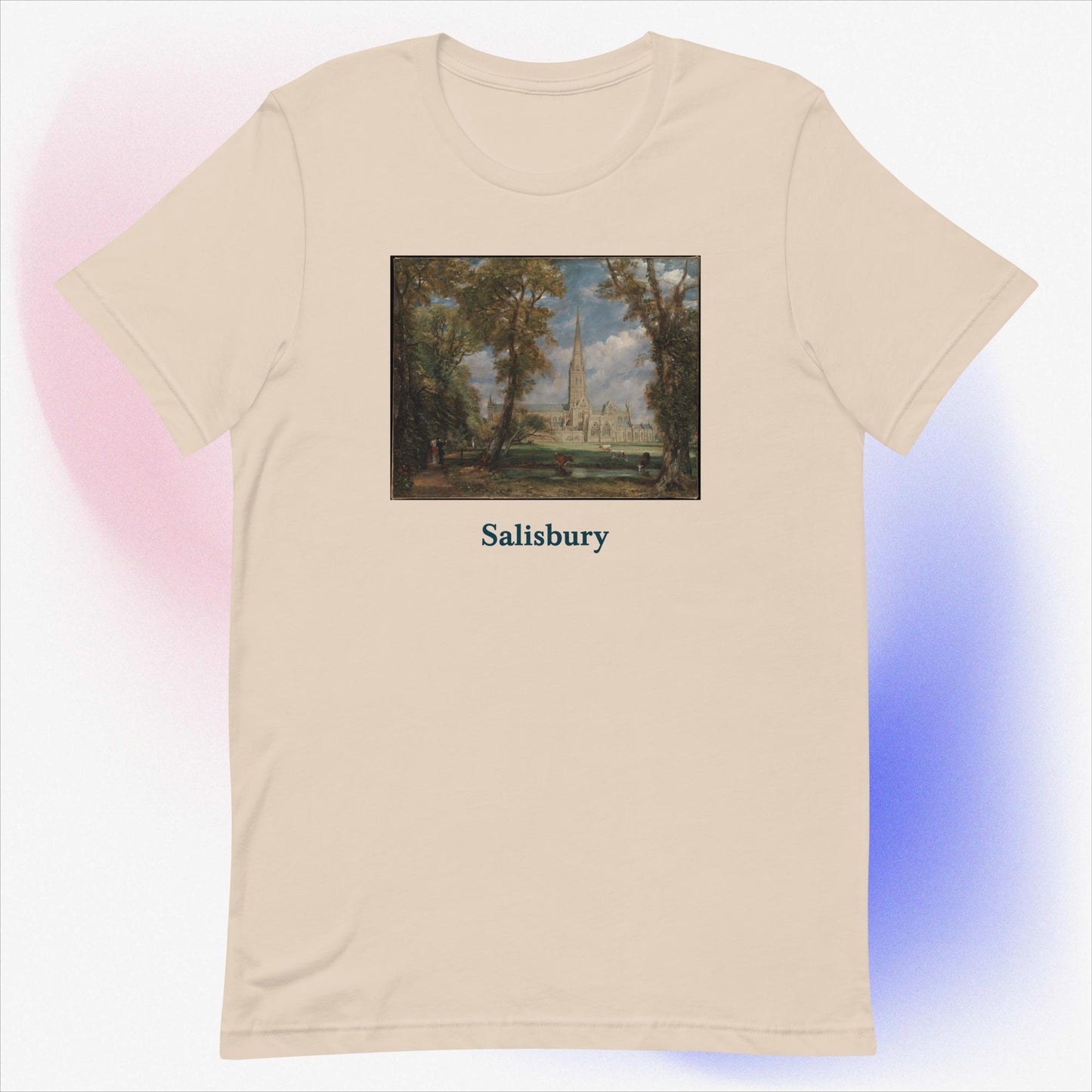 Salisbury unisex t-shirt