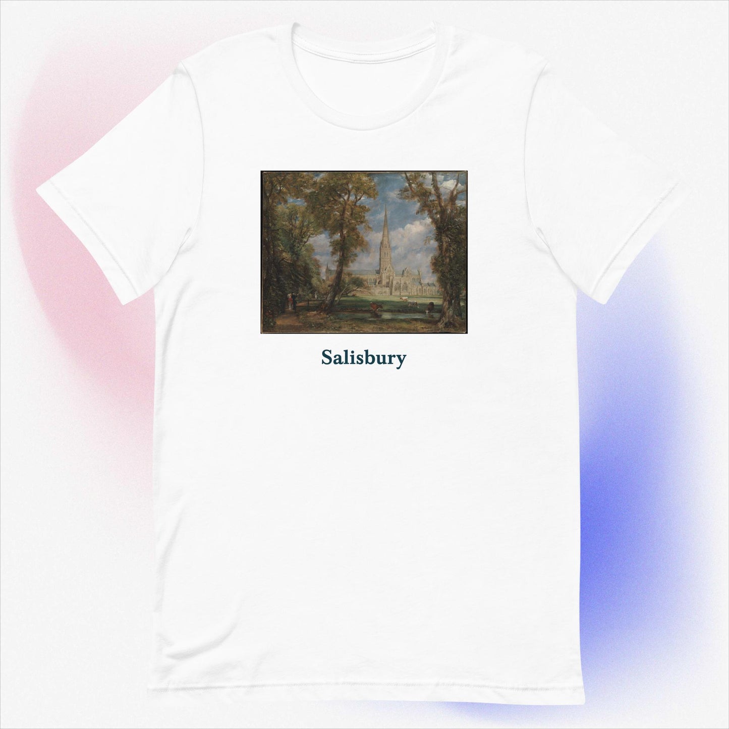 Salisbury unisex t-shirt