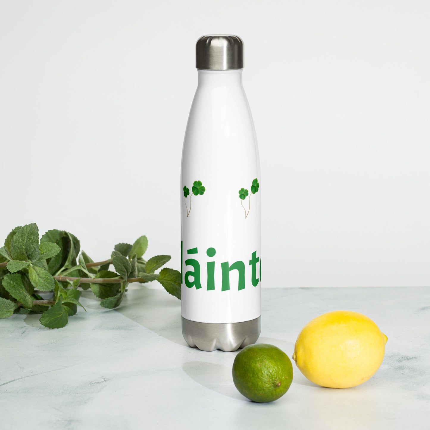 Sláinte! Stainless Steel Water Bottle