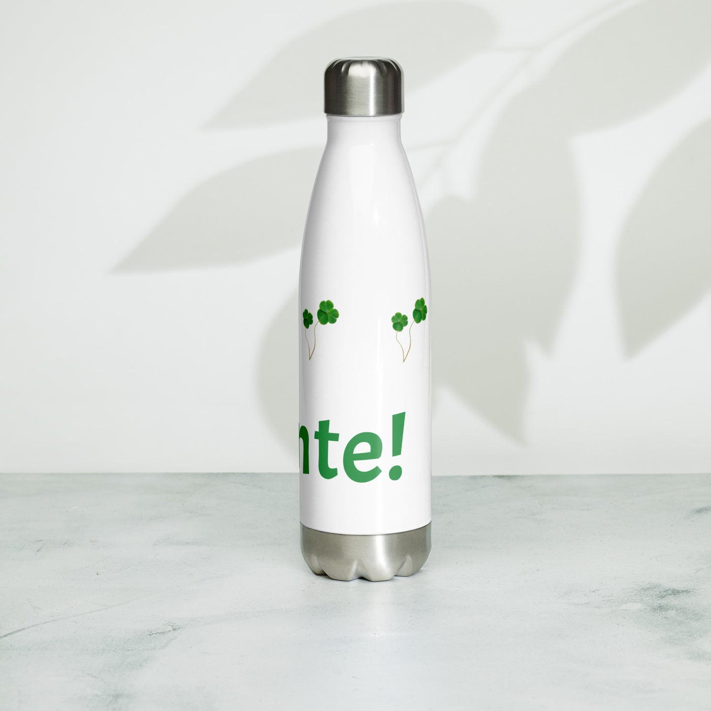 Sláinte! Stainless Steel Water Bottle