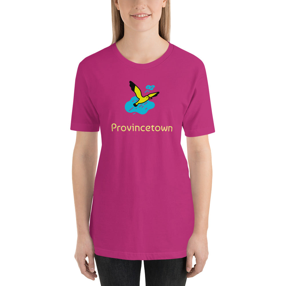 Provincetown unisex t-shirt
