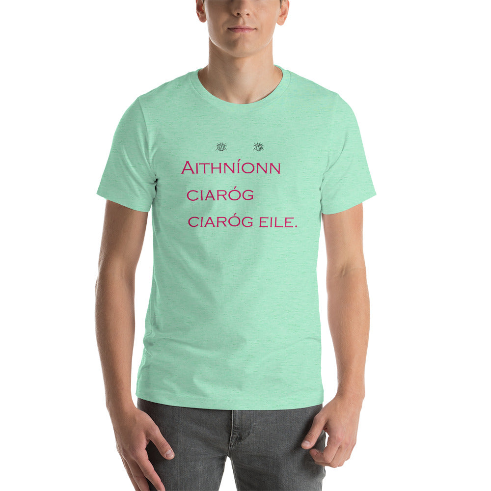Aithníonn ciaróg ciaróg eile. Unisex t-shirt