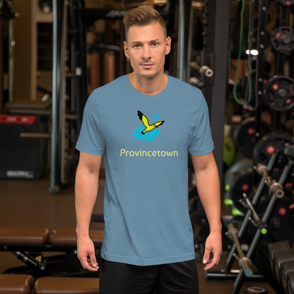 Provincetown unisex t-shirt