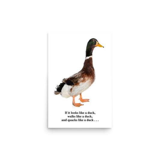 Like a duck Poster 12 x 18 inches