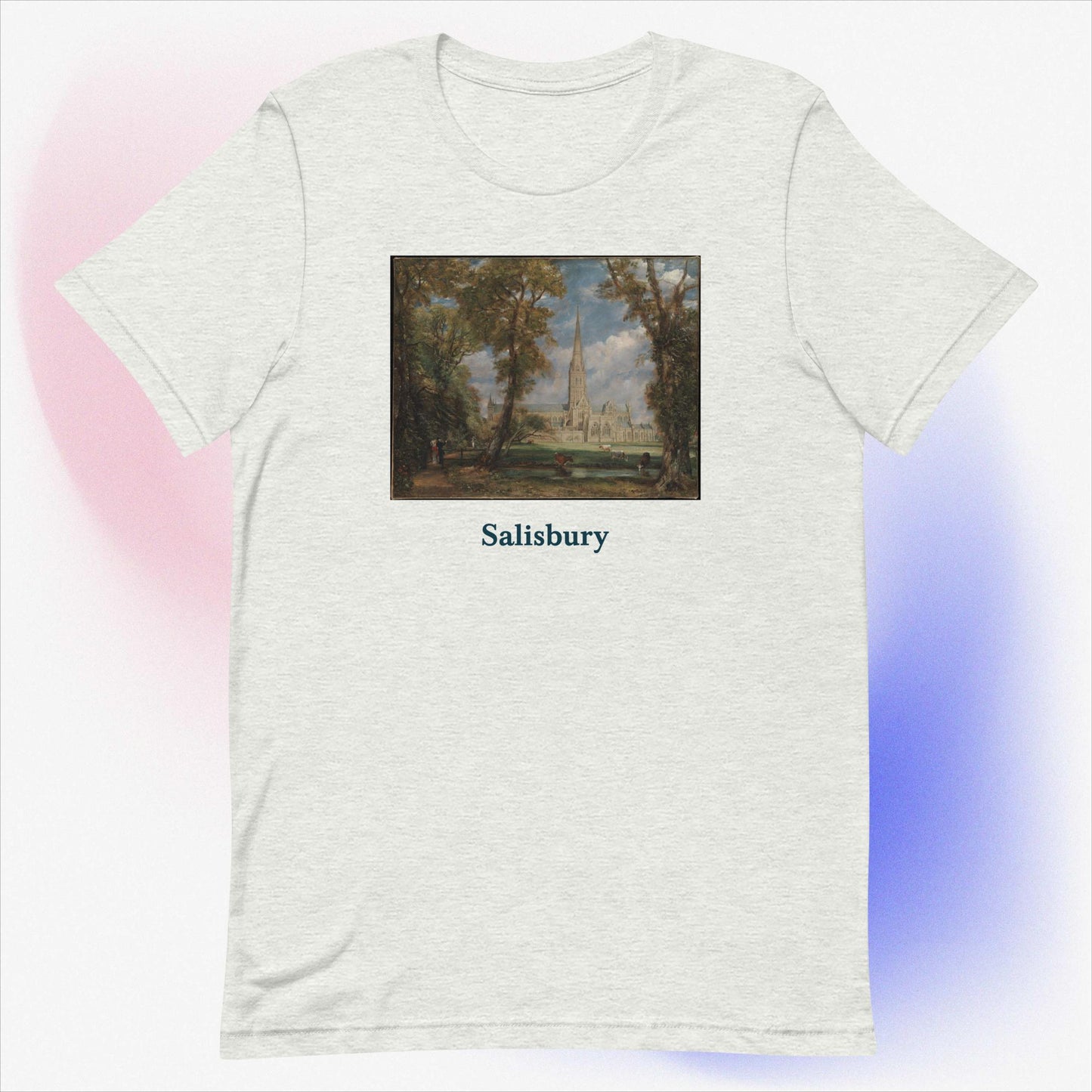 Salisbury unisex t-shirt